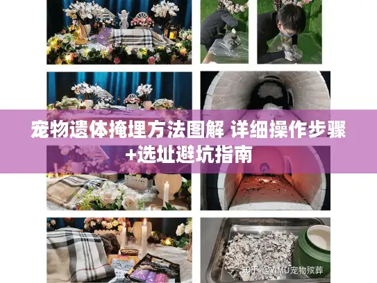 宠物遗体掩埋方法图解 详细操作步骤+选址避坑指南