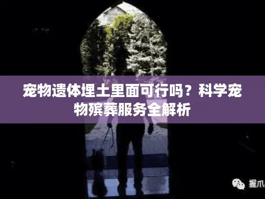 宠物遗体埋土里面可行吗？科学宠物殡葬服务全解析