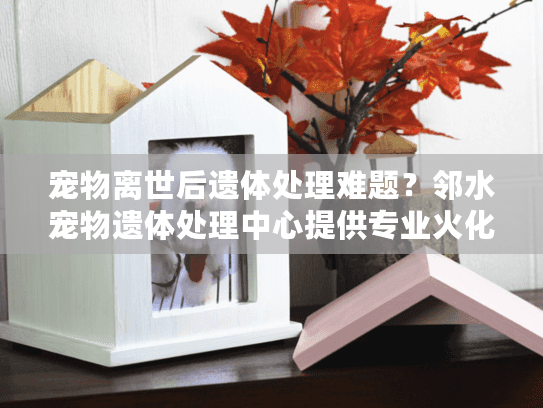 宠物离世后遗体处理难题？邻水宠物遗体处理中心提供专业火化服务