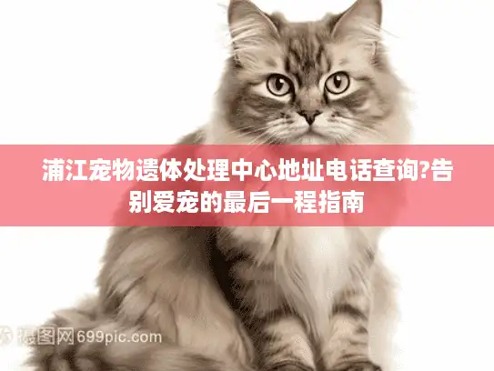 浦江宠物遗体处理中心地址电话查询?告别爱宠的最后一程指南