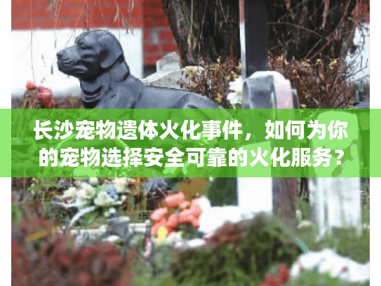长沙宠物遗体火化事件，如何为你的宠物选择安全可靠的火化服务？