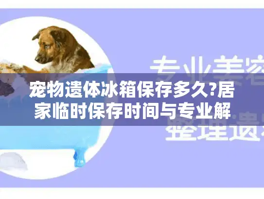 宠物遗体冰箱保存多久?居家临时保存时间与专业解决方案对比 宠物遗体冰箱保存多久?居家临时保存时间与专业解决方案对比