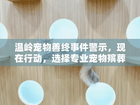 温岭宠物善终事件警示，现在行动，选择专业宠物殡葬服务