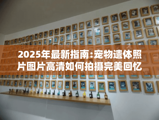 2025年最新指南:宠物遗体照片图片高清如何拍摄完美回忆