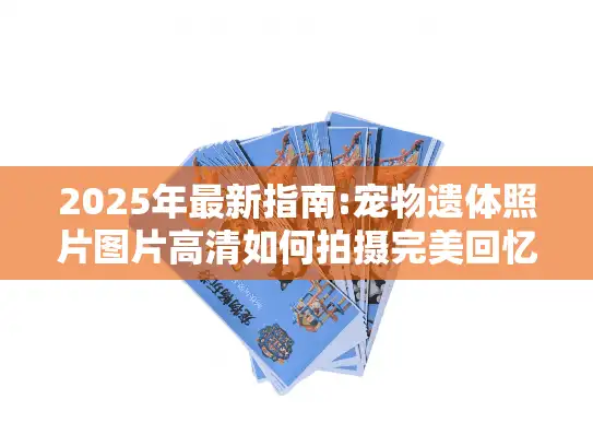 2025年最新指南:宠物遗体照片图片高清如何拍摄完美回忆