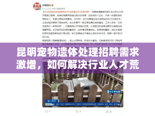 昆明宠物遗体处理招聘需求激增，如何解决行业人才荒？