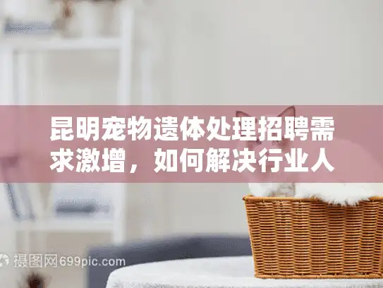 昆明宠物遗体处理招聘需求激增，如何解决行业人才荒？