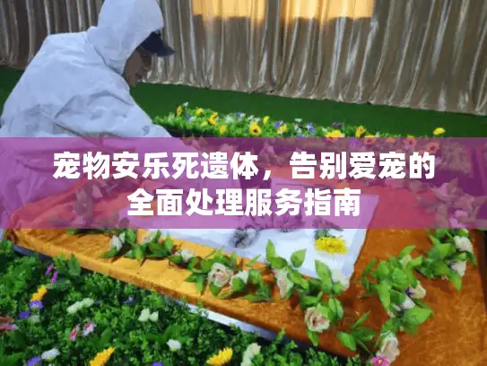宠物安乐死遗体,告别爱宠的全面处理服务指南 宠物安乐死遗体,告别爱宠的全面处理服务指南