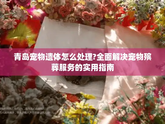 青岛宠物遗体怎么处理?全面解决宠物殡葬服务的实用指南