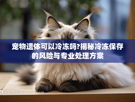 宠物遗体可以冷冻吗?揭秘冷冻保存的风险与专业处理方案