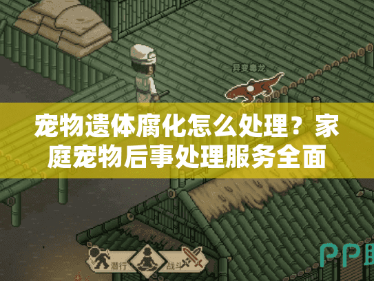 宠物遗体腐化怎么处理？家庭宠物后事处理服务全面解决方案