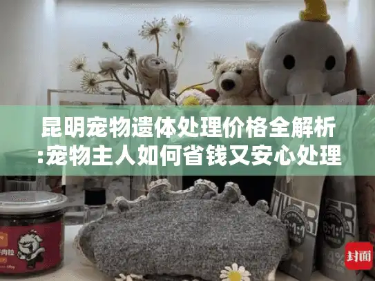 昆明宠物遗体处理价格全解析:宠物主人如何省钱又安心处理后事?