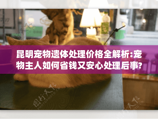 昆明宠物遗体处理价格全解析:宠物主人如何省钱又安心处理后事?