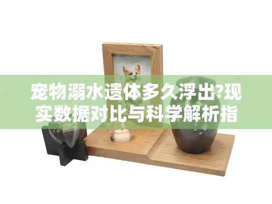 宠物溺水遗体多久浮出?现实数据对比与科学解析指南 宠物溺水遗体多久浮出?现实数据对比与科学解析指南