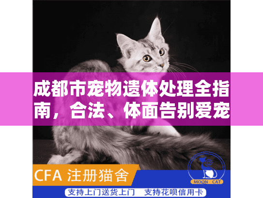 成都市宠物遗体处理全指南，合法、体面告别爱宠的7个关键步骤