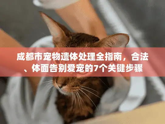成都市宠物遗体处理全指南，合法、体面告别爱宠的7个关键步骤