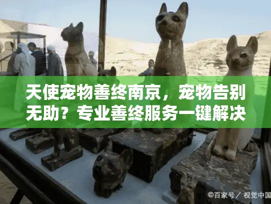 天使宠物善终南京,宠物告别无助?专业善终服务一键解决 天使宠物善终南京,宠物告别无助?专业善终服务一键解决