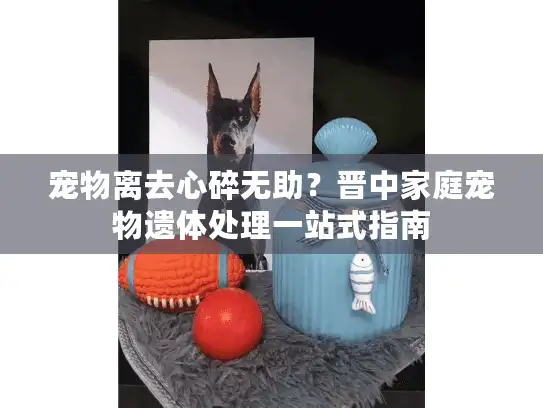 宠物离去心碎无助？晋中家庭宠物遗体处理一站式指南