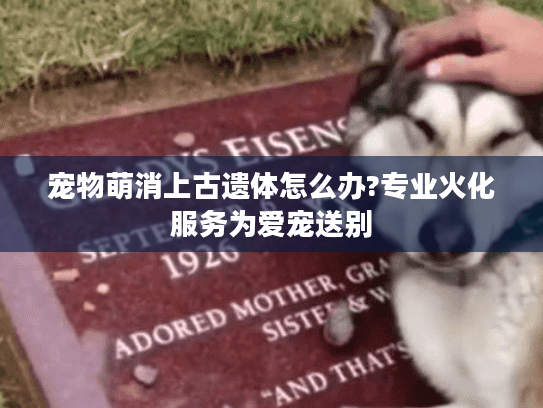 宠物萌消上古遗体怎么办?专业火化服务为爱宠送别