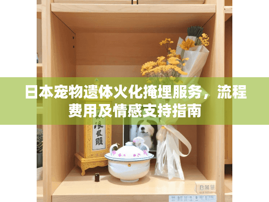 日本宠物遗体火化掩埋服务，流程费用及情感支持指南