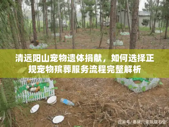 清远阳山宠物遗体捐献，如何选择正规宠物殡葬服务流程完整解析