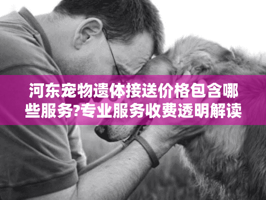 河东宠物遗体接送价格包含哪些服务?专业服务收费透明解读 河东宠物遗体接送价格包含哪些服务?专业服务收费透明解读