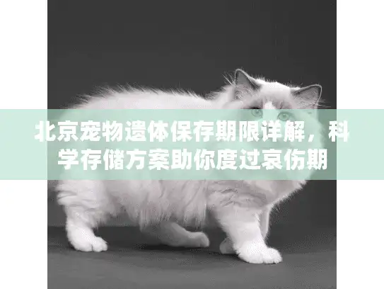 北京宠物遗体保存期限详解，科学存储方案助你度过哀伤期