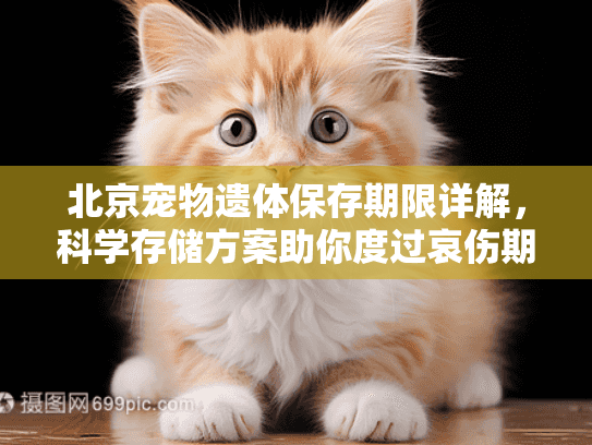 北京宠物遗体保存期限详解，科学存储方案助你度过哀伤期