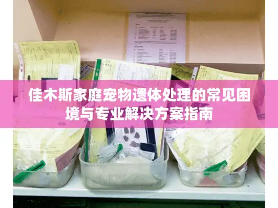 佳木斯家庭宠物遗体处理的常见困境与专业解决方案指南