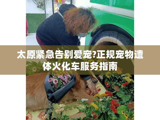 太原紧急告别爱宠?正规宠物遗体火化车服务指南