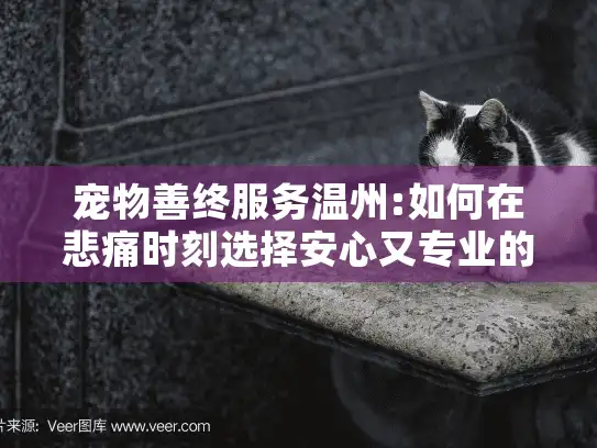 宠物善终服务温州:如何在悲痛时刻选择安心又专业的宠物殡葬方案?