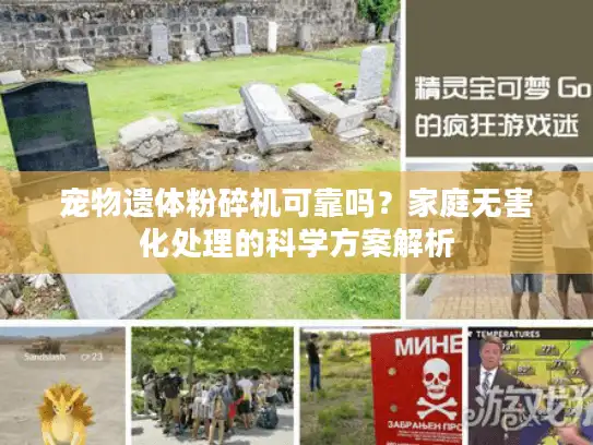 宠物遗体粉碎机可靠吗？家庭无害化处理的科学方案解析