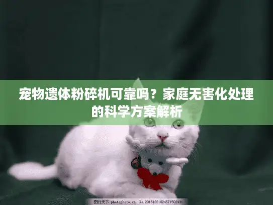 宠物遗体粉碎机可靠吗？家庭无害化处理的科学方案解析