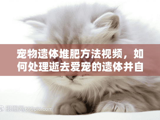 宠物遗体堆肥方法视频,如何处理逝去爱宠的遗体并自制环保堆肥 宠物遗体堆肥方法视频,如何处理逝去爱宠的遗体并自制环保堆肥