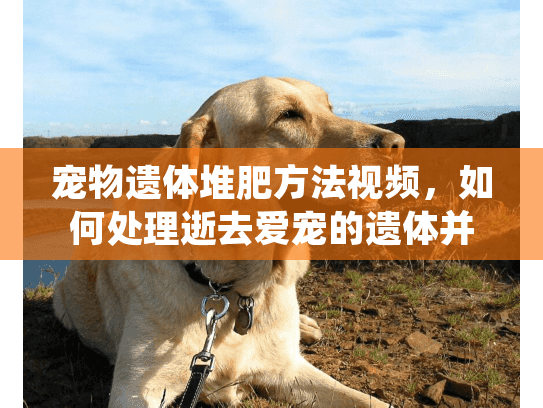 宠物遗体堆肥方法视频,如何处理逝去爱宠的遗体并自制环保堆肥 宠物遗体堆肥方法视频,如何处理逝去爱宠的遗体并自制环保堆肥