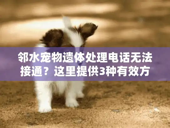 邻水宠物遗体处理电话无法接通？这里提供3种有效方案