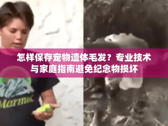 怎样保存宠物遗体毛发？专业技术与家庭指南避免纪念物损坏