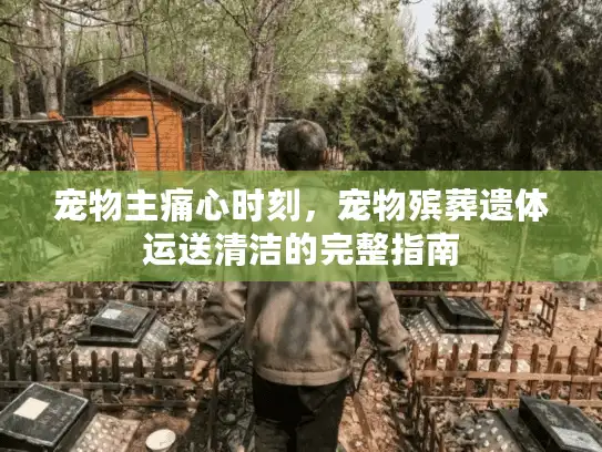 宠物主痛心时刻，宠物殡葬遗体运送清洁的完整指南