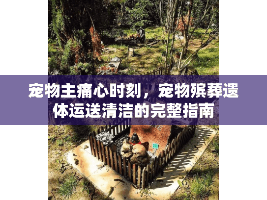 宠物主痛心时刻，宠物殡葬遗体运送清洁的完整指南
