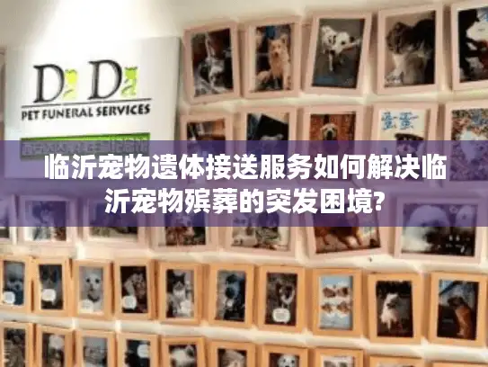 临沂宠物遗体接送服务如何解决临沂宠物殡葬的突发困境? 临沂宠物遗体接送服务如何解决临沂宠物殡葬的突发困境?