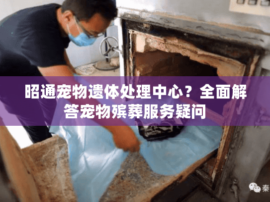 昭通宠物遗体处理中心？全面解答宠物殡葬服务疑问
