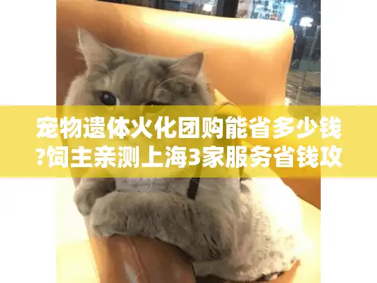 宠物遗体火化团购能省多少钱?饲主亲测上海3家服务省钱攻略 宠物遗体火化团购能省多少钱?饲主亲测上海3家服务省钱攻略