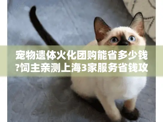 宠物遗体火化团购能省多少钱?饲主亲测上海3家服务省钱攻略 宠物遗体火化团购能省多少钱?饲主亲测上海3家服务省钱攻略