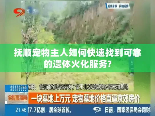 抚顺宠物主人如何快速找到可靠的遗体火化服务?