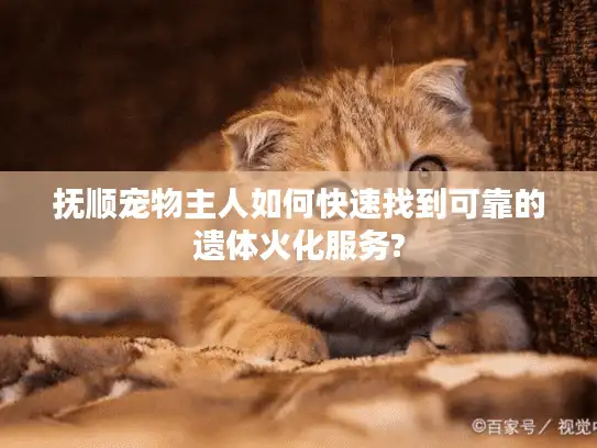 抚顺宠物主人如何快速找到可靠的遗体火化服务?