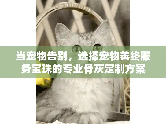 当宠物告别，选择宠物善终服务宝珠的专业骨灰定制方案