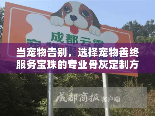 当宠物告别，选择宠物善终服务宝珠的专业骨灰定制方案