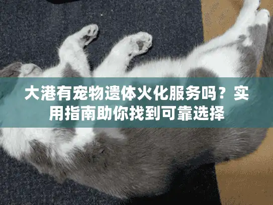 大港有宠物遗体火化服务吗?实用指南助你找到可靠选择 大港有宠物遗体火化服务吗?实用指南助你找到可靠选择