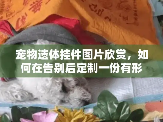 宠物遗体挂件图片欣赏，如何在告别后定制一份有形的爱的纪念？