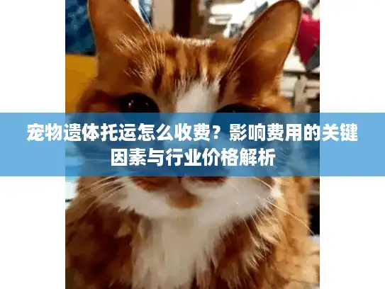 宠物遗体托运怎么收费？影响费用的关键因素与行业价格解析